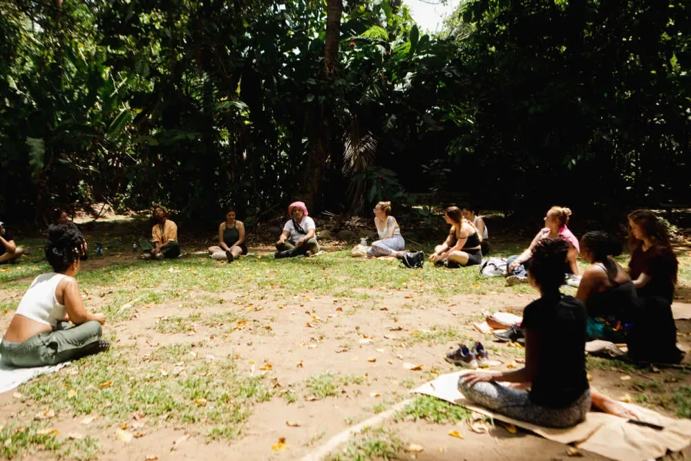 A group seated in a wide circle on a sunlit clearing among tropical trees
