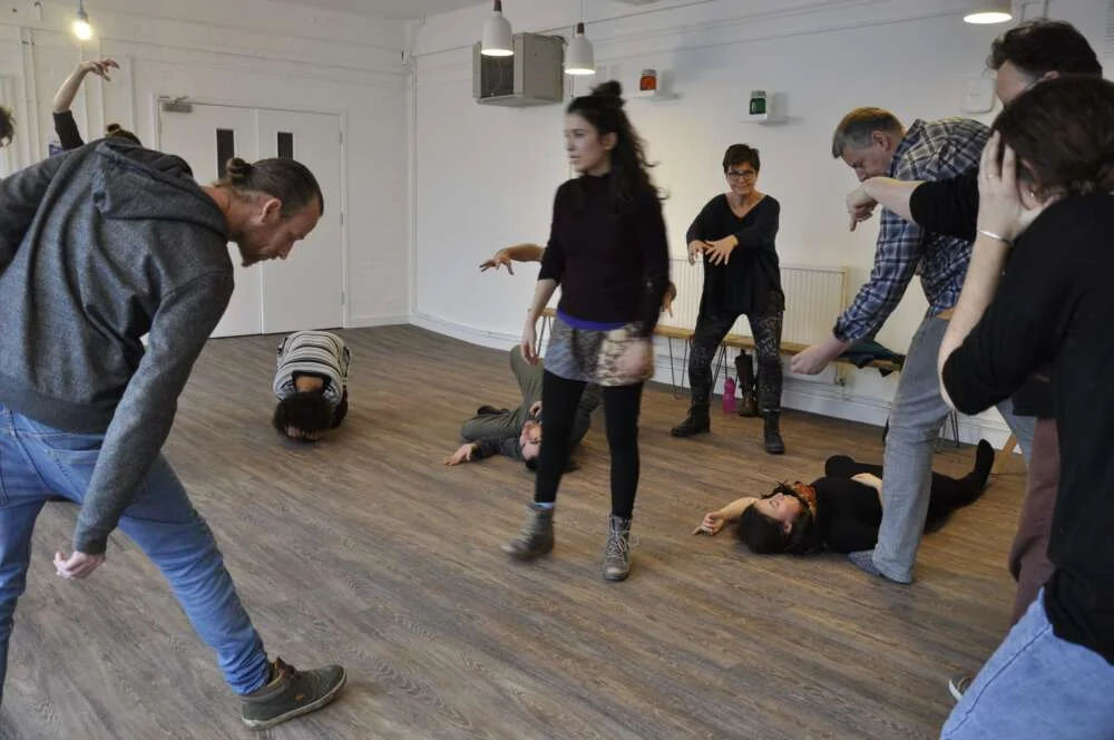 Participants moving and stretching together in a bright studio