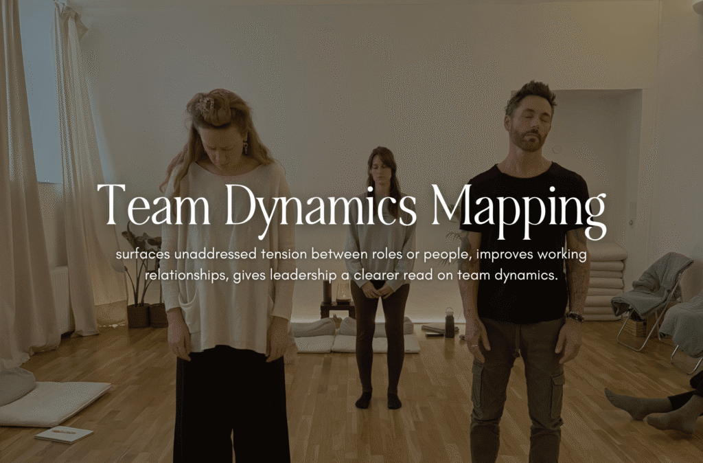 Team Dynamics Mapping